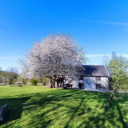 Gerestaureerde Hoeve Met Zicht 杜柏 外观 照片