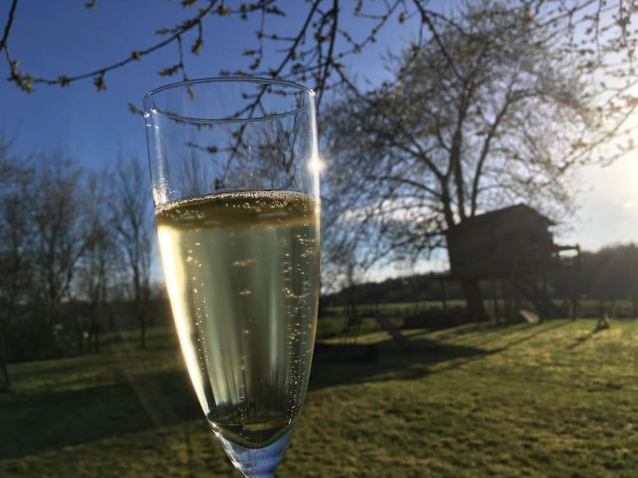 Gerestaureerde Hoeve Met Zicht 杜柏 外观 照片